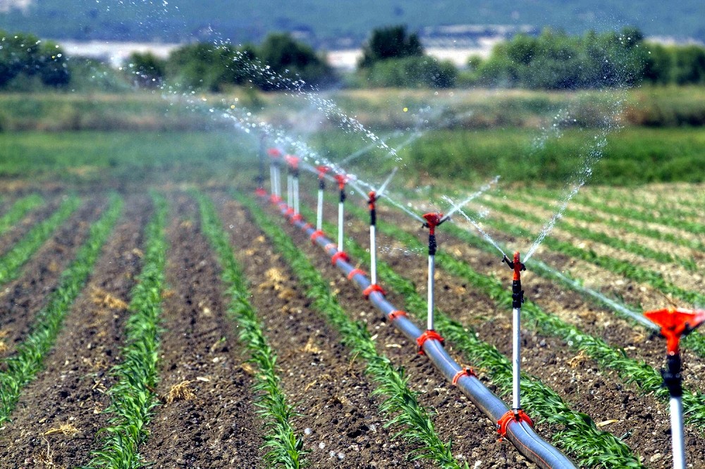Siirt’te 37 bin dekar tarım arazisi sulandı