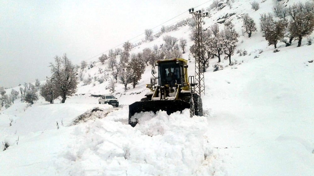 Siirt’te kar yağışı nedeniyle 64 köy yolu ulaşıma kapandı