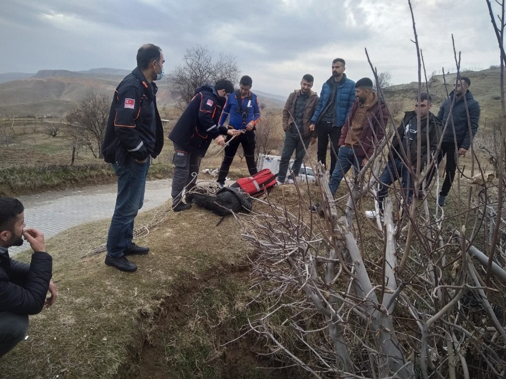 Siirt’te kör kuyuya düşen keçiyi AFAD ekipleri kurtardı