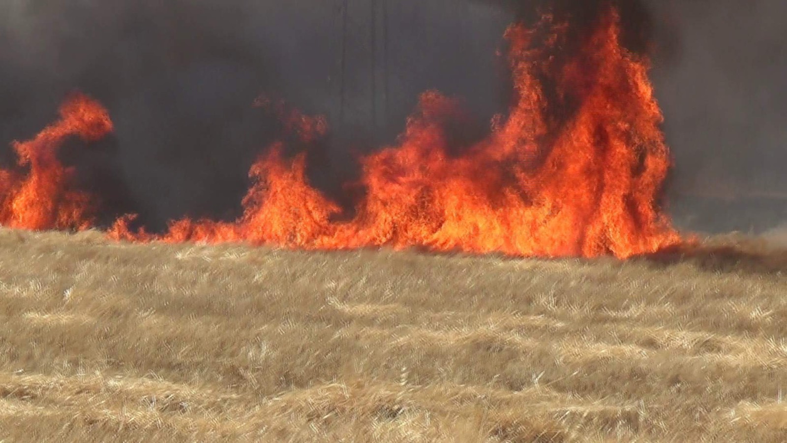 İtfaiye müdüründen çiftçilere anız yangını uyarısı